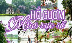 [Ảnh] Hồ Gươm mùa rực rỡ